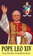 Pope Leo XIV prayer card (5-pack)